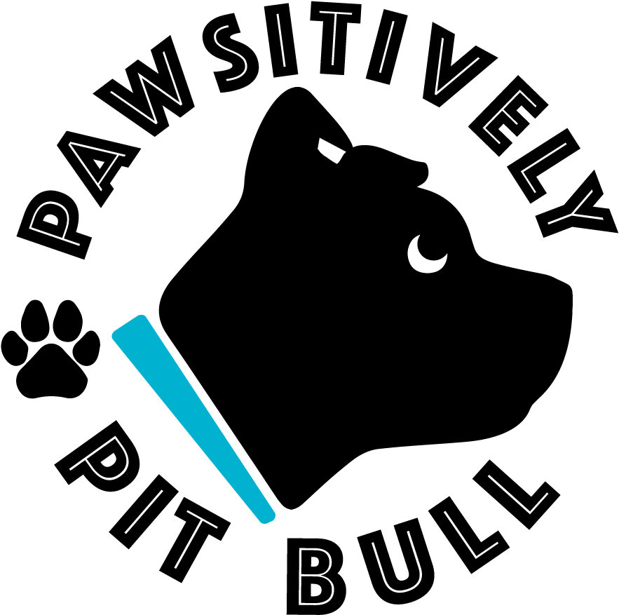 T-shirt Clipart (1000x1000), Png Download