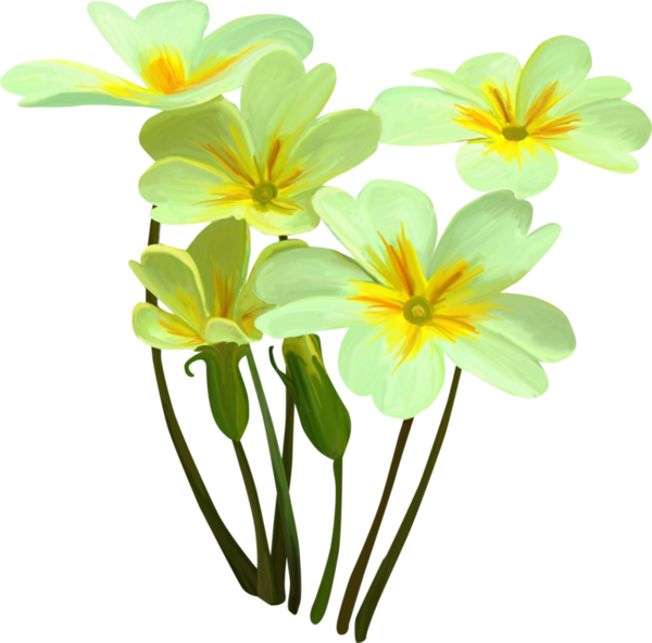 Bouquets, Flowers, Tube, Flowers Bouquets, Bouquet - Watercolor Painting Clipart (600x592), Png Download