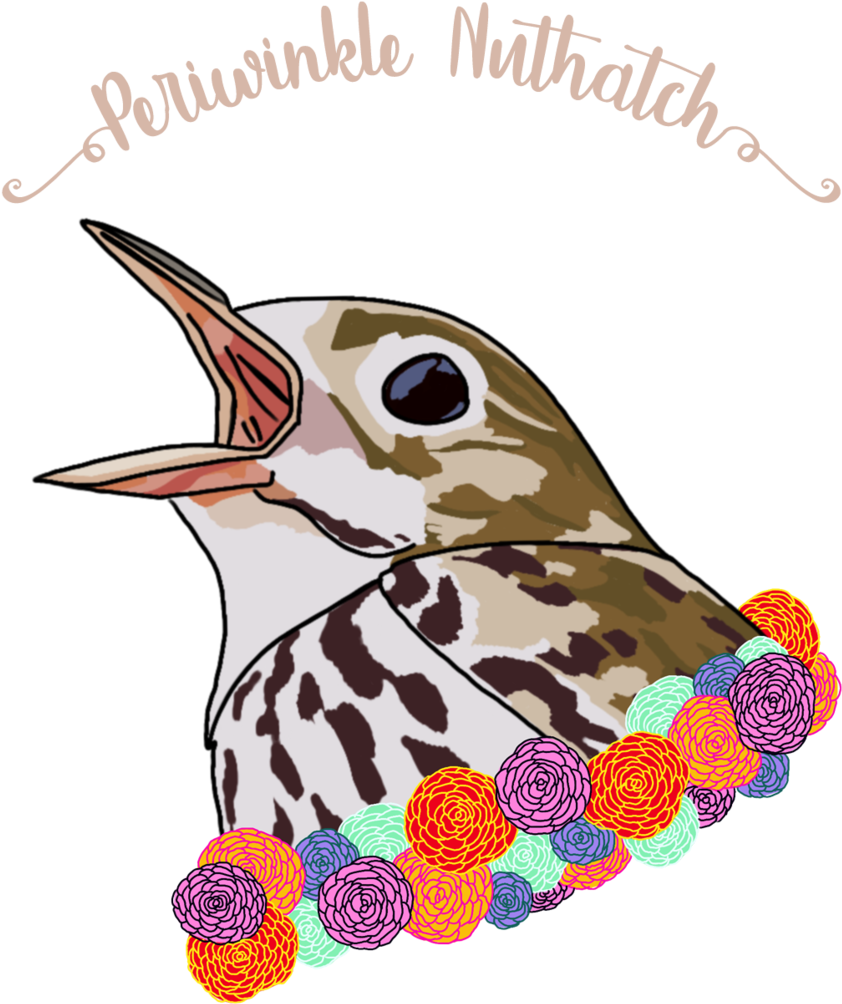 Best Friends Animal Collection - Sittidae Clipart (1000x1053), Png Download