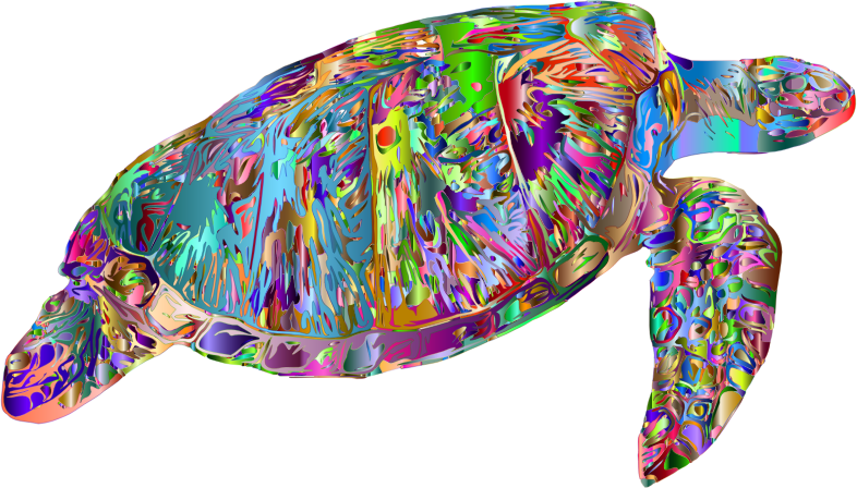 By Gdj - Sea Turtle Clipart (786x448), Png Download