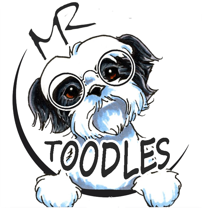 Mr Toodles - B/w Shih Tzu Art Ornament (round) Clipart (842x934), Png Download