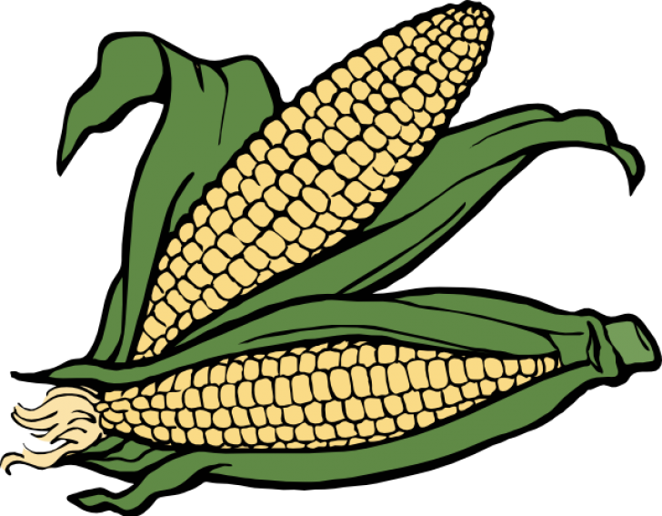 Permalink To Corn Clipart Rainbow Clipart - Corn Clipart - Png Download (728x567), Png Download