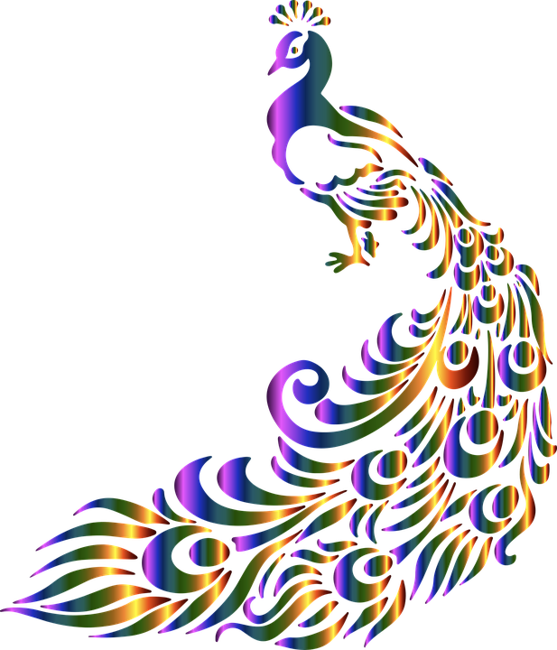 Splints And The Kid Walked The Length Of The Zoo, The - Peacock Clipart Png Transparent Png (617x720), Png Download