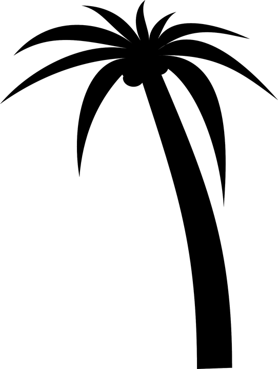 Bark Clipart Clipground Free - Red Palm Tree Png Transparent Png (542x720), Png Download