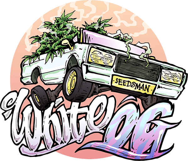 Visit - Street Art Clipart (600x515), Png Download