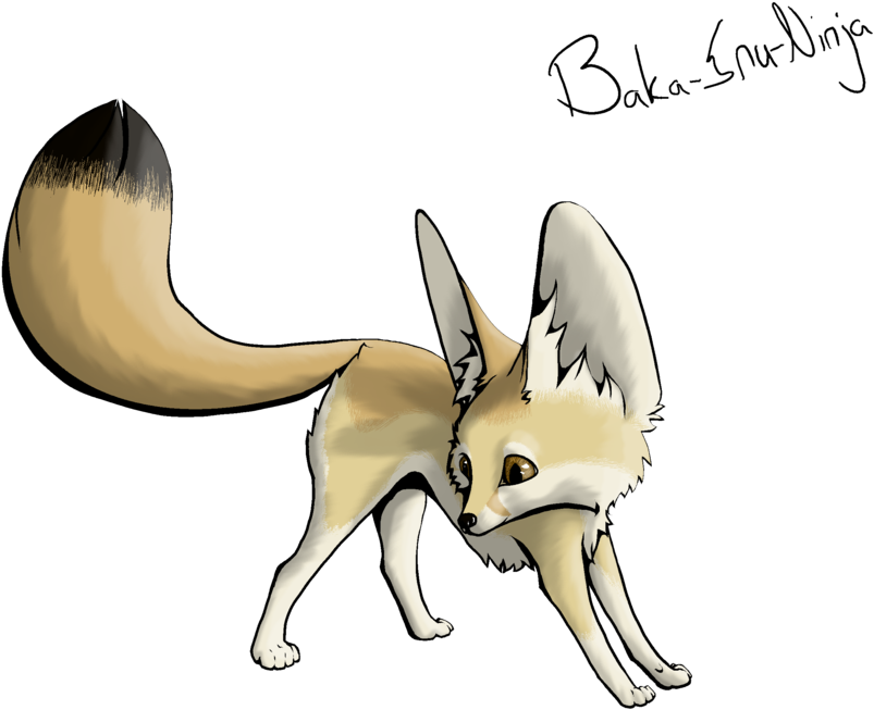Fox Clipart Transparent Background - Draw A Fennec Fox - Png Download (1031x774), Png Download
