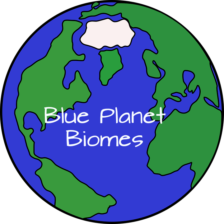 Cartoon Planet Earth Clipart (720x720), Png Download