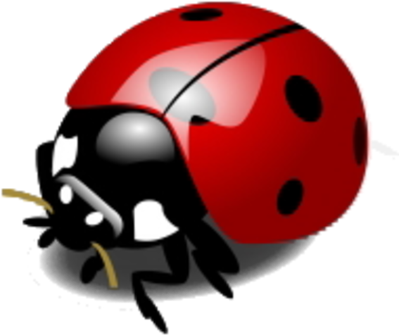 Imagem Relacionada - Ladybird Animation Clipart (600x600), Png Download