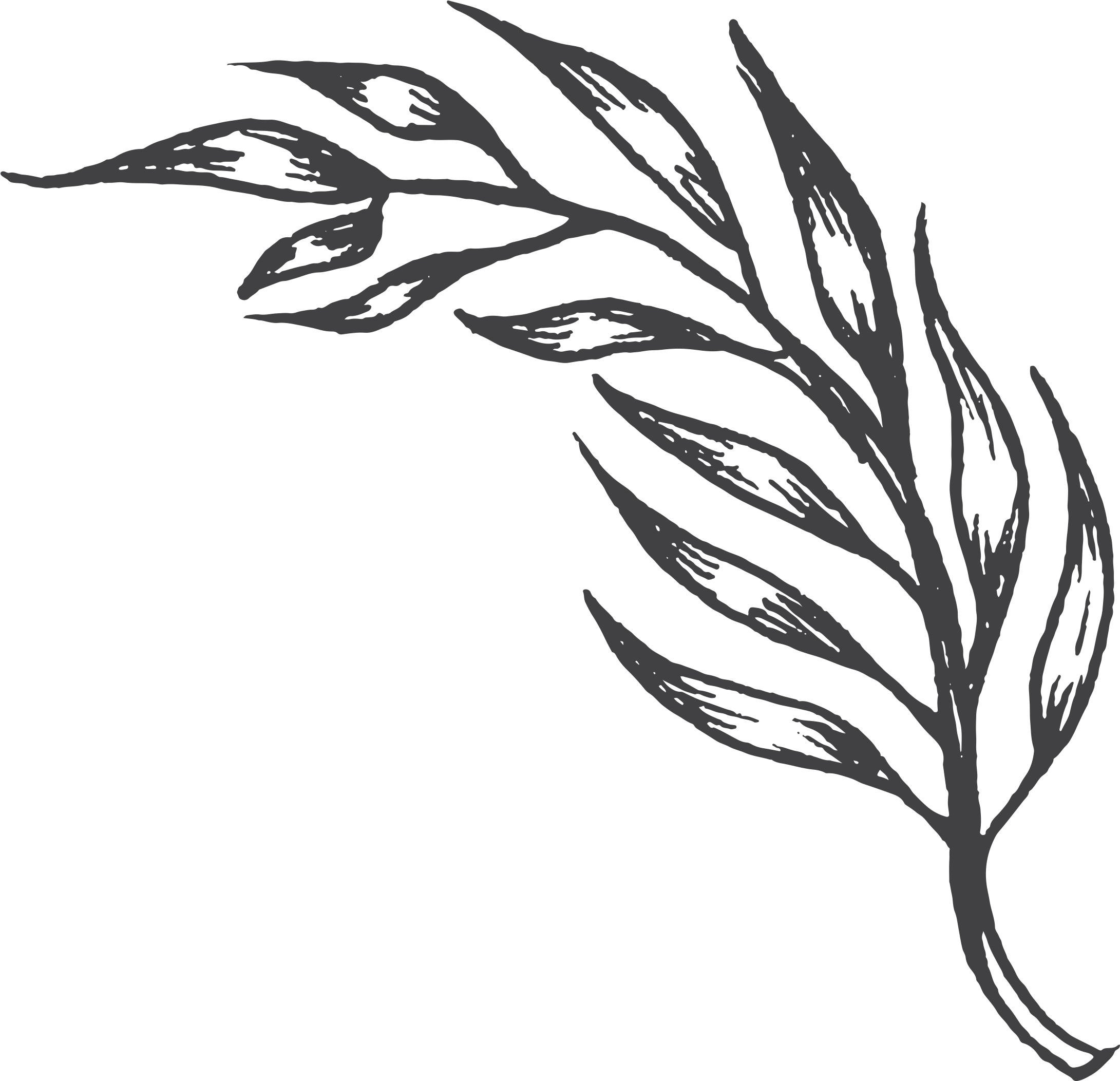 Come Join Us At The Farm Every Wednesday & Friday At - Business Card Clipart (2400x2242), Png Download