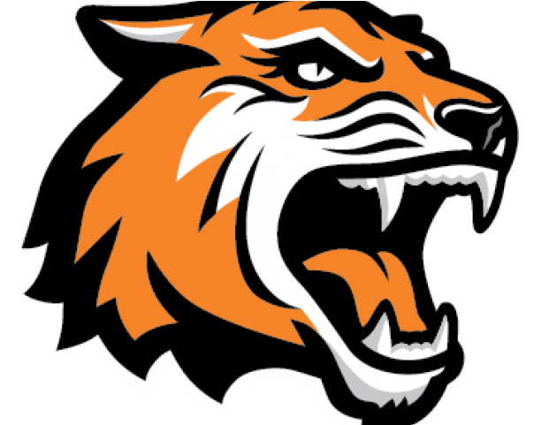 Rit Tiger Logo Clipart (640x480), Png Download