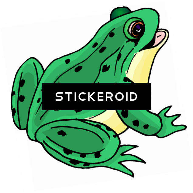 Frog Clip Art - Frog Clipart - Png Download (635x636), Png Download