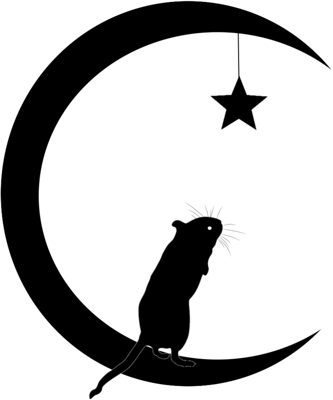 Moon And Stars Clip Art - Silhouette Stars And Moon - Png Download (900x900), Png Download