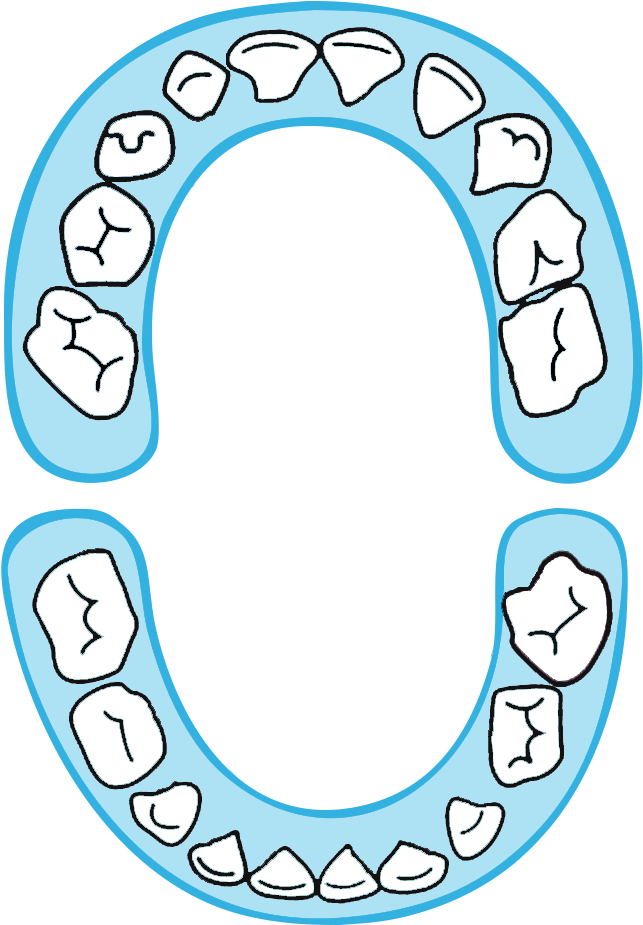 Clip Art - Png Download (648x1152), Png Download