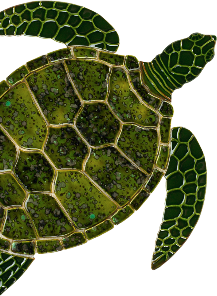 Sea Turtle Art Clipart Sea Turtle Tortoise Sea Turtle Ceramic Png