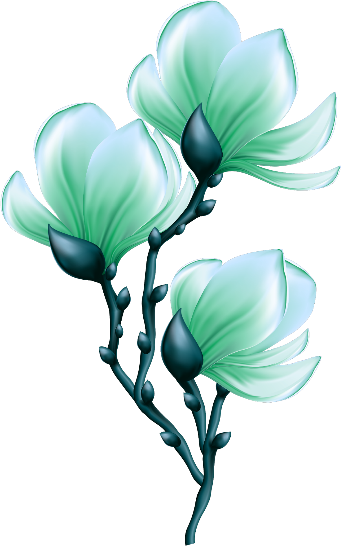Mq Green Flowers Flower Garden Nature - Posten-es-anmerkung-magnolie Post-it Klebezettel Clipart (1024x1024), Png Download