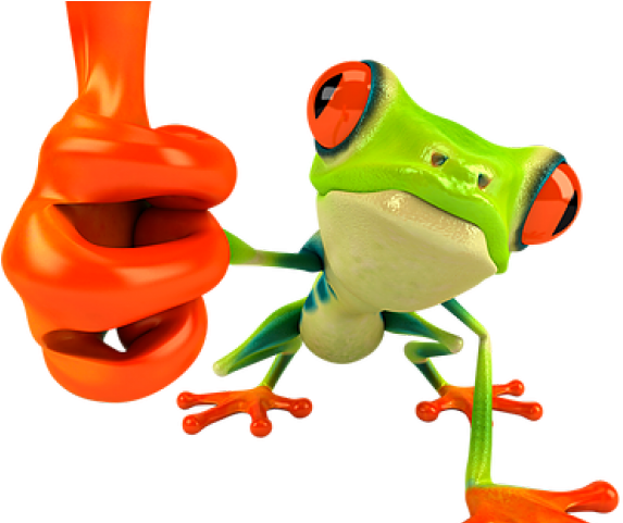 Red Eyed Tree Frog Clipart Rainforest Animal - Frog In Sunglasses - Png Download (640x480), Png Download