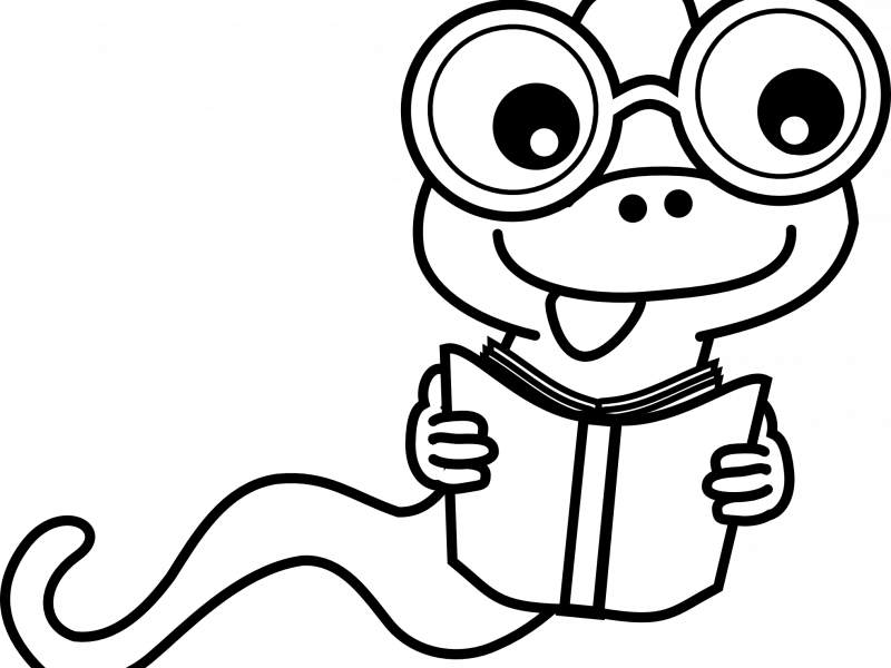 Attractive Ideas Black And White Clip Art School Books - Book Clipart Black And White Art - Png Download (800x600), Png Download