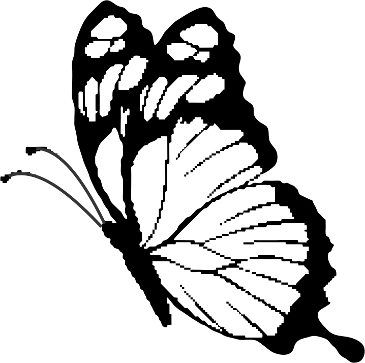 Butterfly - Brush-footed Butterfly Clipart (718x714), Png Download