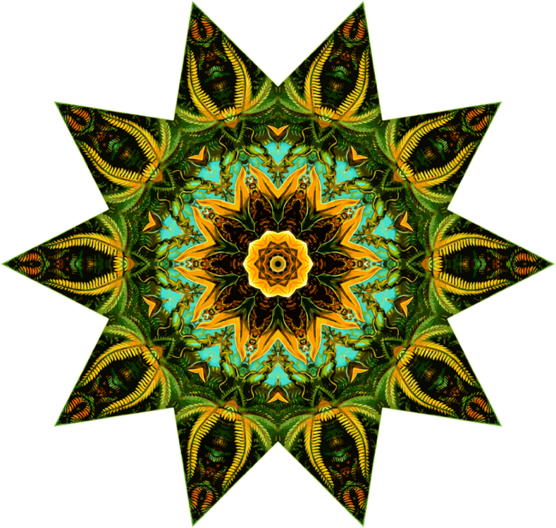 All Photo Png Clipart - Clip Art Transparent Png (789x750), Png Download