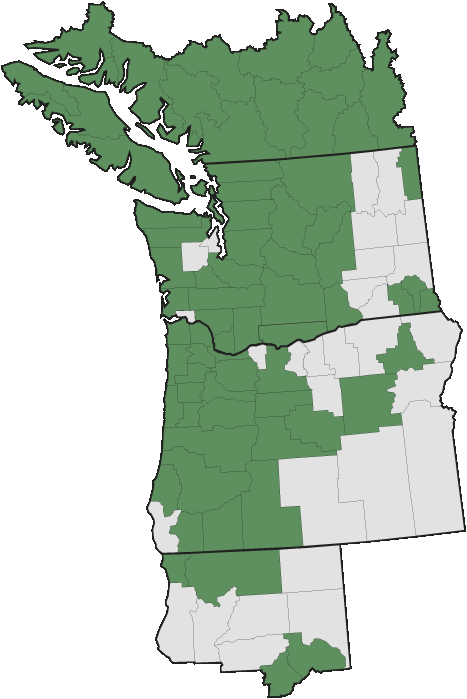 More Information - - Pacific Northwest Clipart (467x699), Png Download