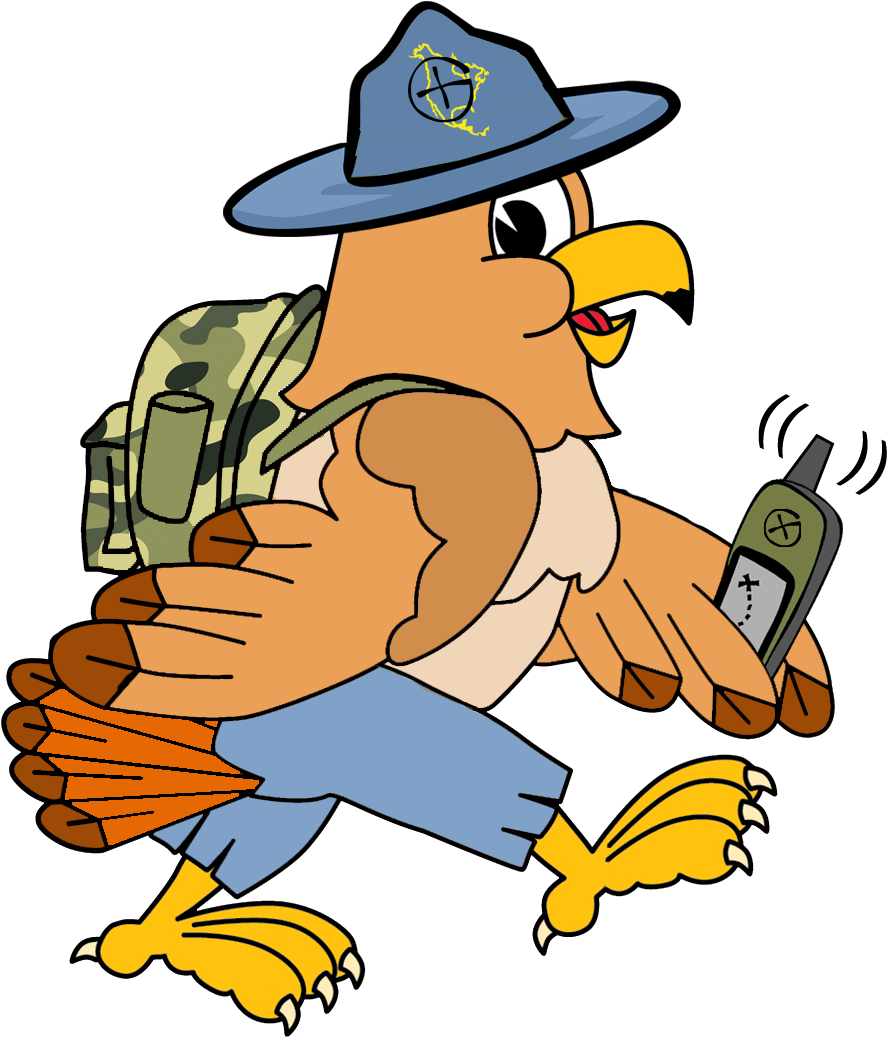 Hank The Hawk, Our Mascot, Was Born On January 2nd, - Cartoon Clipart (1000x1100), Png Download