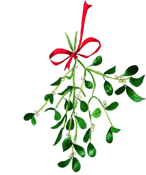 Mistletoe Texture Painting, Ink Painting, Mistletoe, - Watercolour Mistletoe Painting Clipart (540x737), Png Download