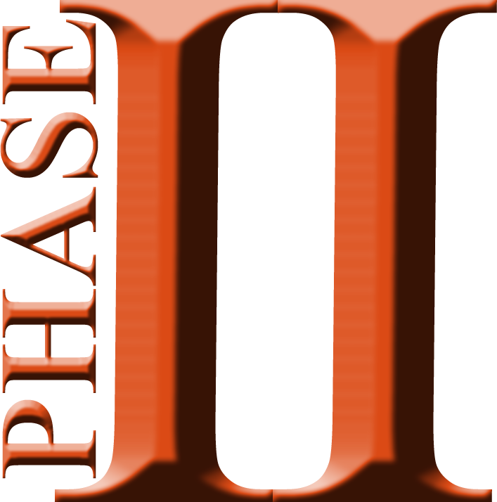 Rtg Urges Fcc To Review Mobility Fund Phase I Results - Phase 2 Clip Art - Png Download (707x714), Png Download