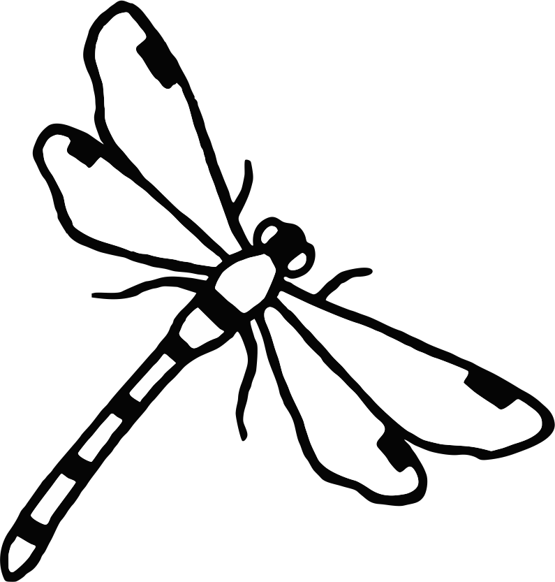 ✓ - School Clipart (795x833), Png Download