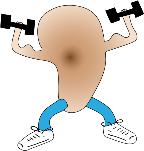 Phil's Eartrainer En Mac App Store Clipart (630x630), Png Download