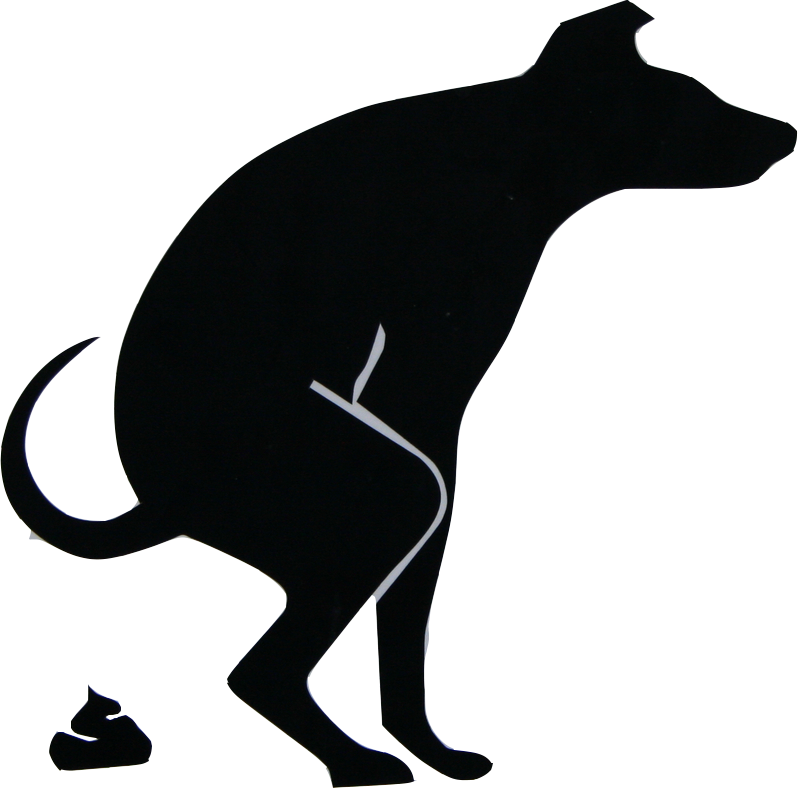 Click To Enlarge - Clip Art - Png Download (798x788), Png Download