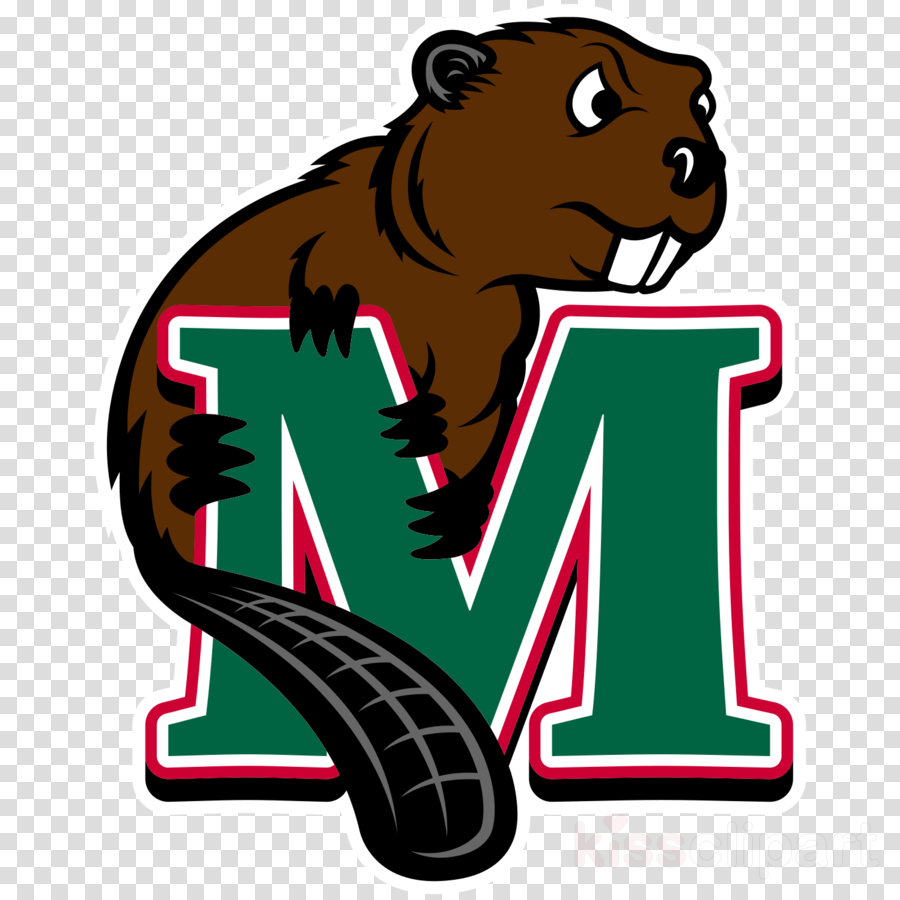 Download Minot State Beavers Logo Clipart Minot State - Minot State Beavers Logo - Png Download (900x900), Png Download