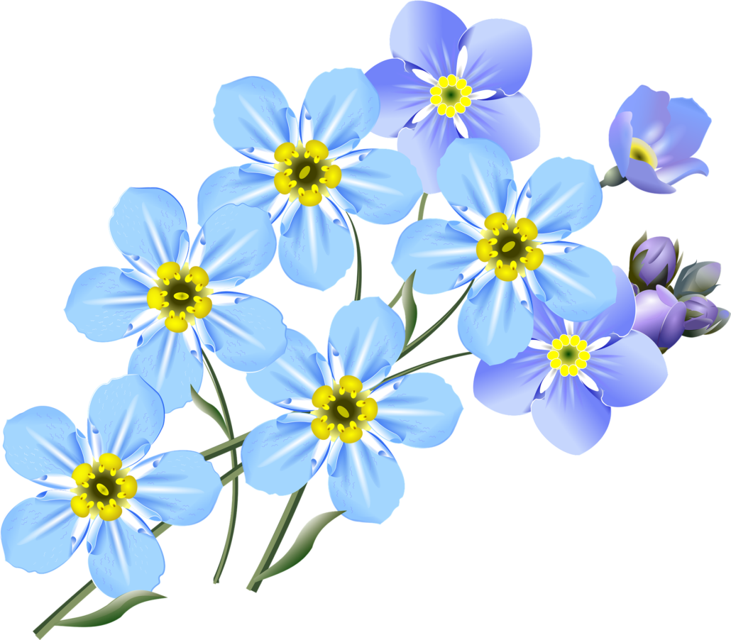 More Images Of Forget Me Not Clip Art Free - Forget Me Nots Drawing - Png Download (822x720), Png Download