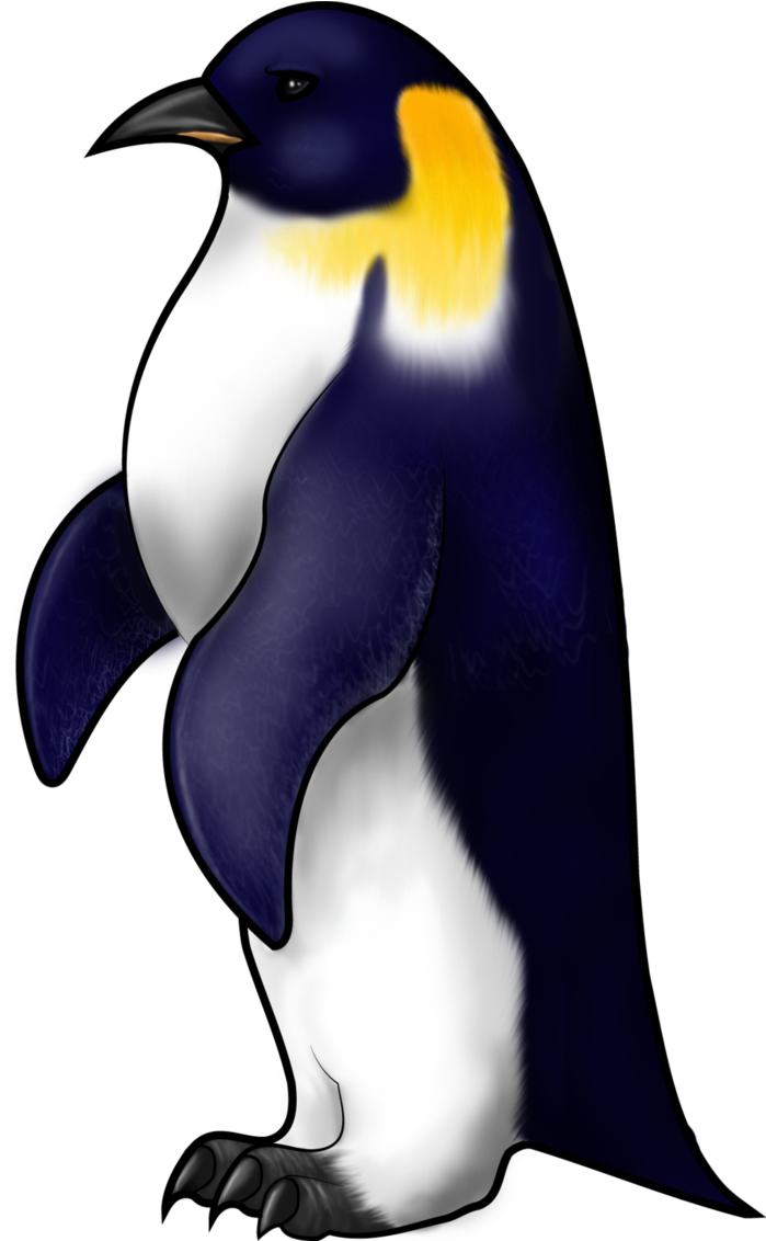 Drawing At Getdrawings Com Free For Personal - Outline Of An Emperor Penguin Clipart (706x1131), Png Download
