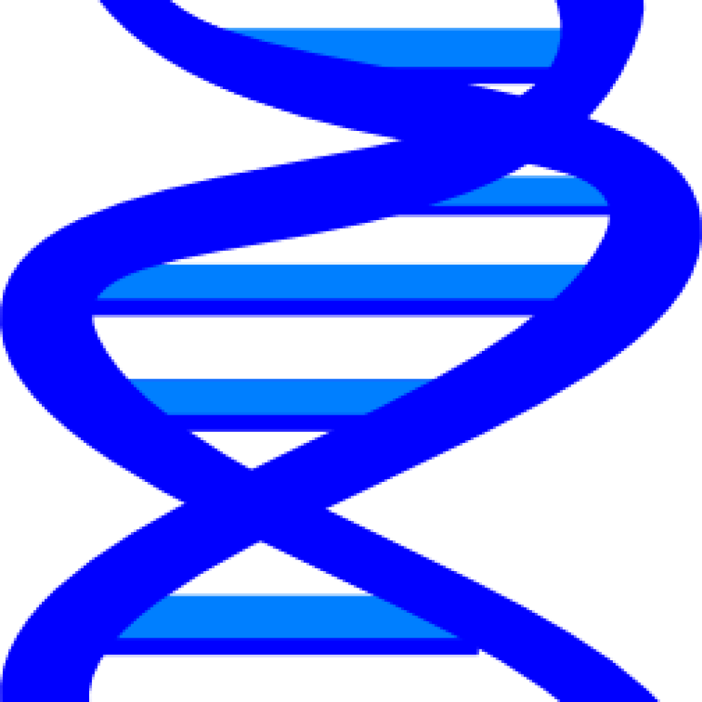 Dna Clip Art Dna Clip Art At Clker Vector Clip Art - Clip Art - Png Download (1024x1024), Png Download