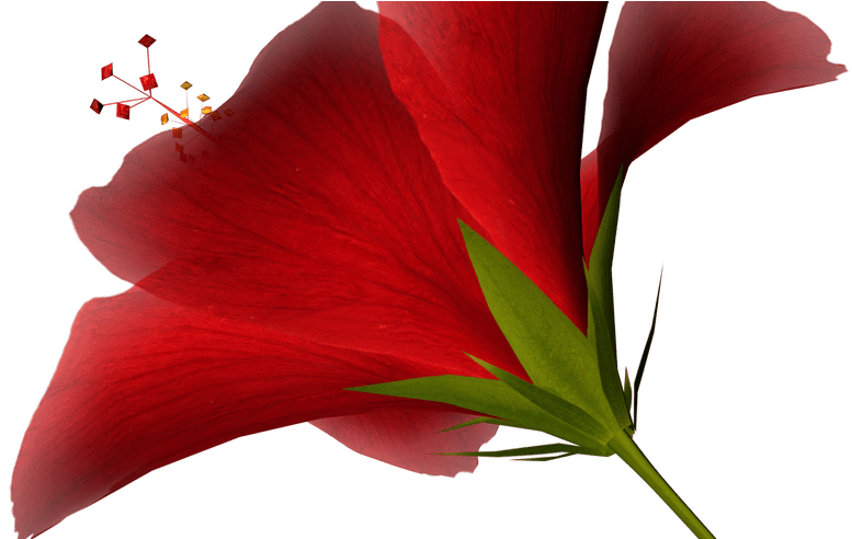 Interesting Ideas Free Clip Art High Resolution Photos - Clip Art - Png Download (800x491), Png Download