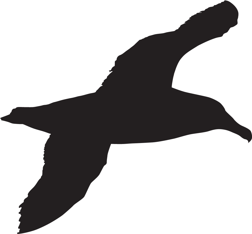 Graphic Black And White Black Footed Overview All - Sea Bird Silhouette Clipart (1024x1024), Png Download
