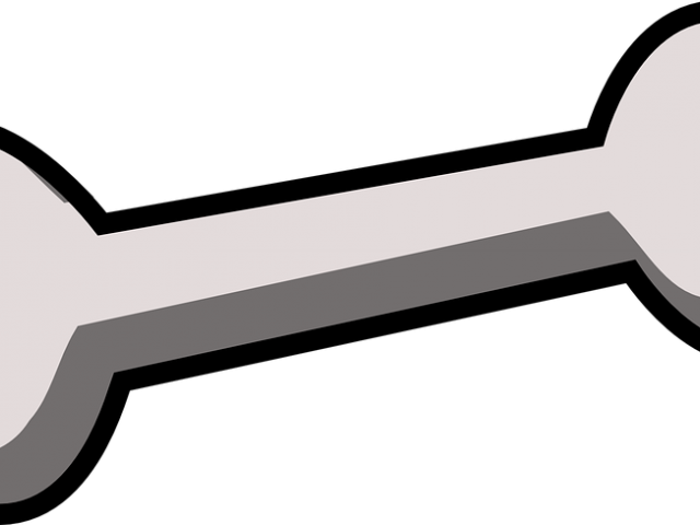 Bones Clipart Husky - Dino Bone Clipart - Png Download (640x480), Png Download