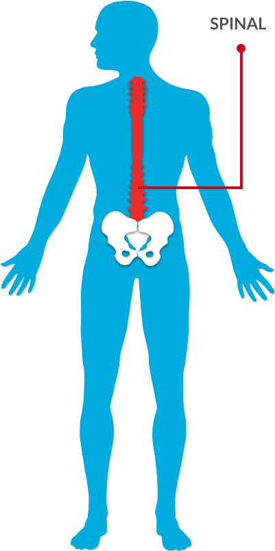 Find A Doctor And Make An Appointment - Surgery Clipart (447x848), Png Download