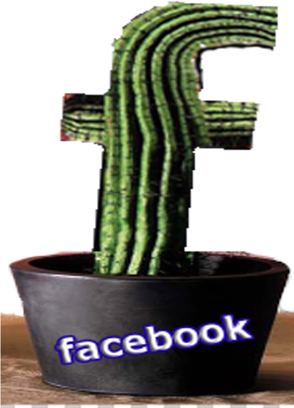 Email Address - Hola@mariachis - Ca - Weberocereus Clipart (1300x800), Png Download