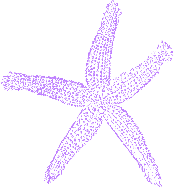 Lavender Clipart Starfish - Purple Star Fish Clip Art - Png Download (552x596), Png Download