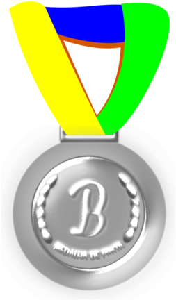 All Photo Png Clipart - Silver Medal Transparent Png (528x750), Png Download