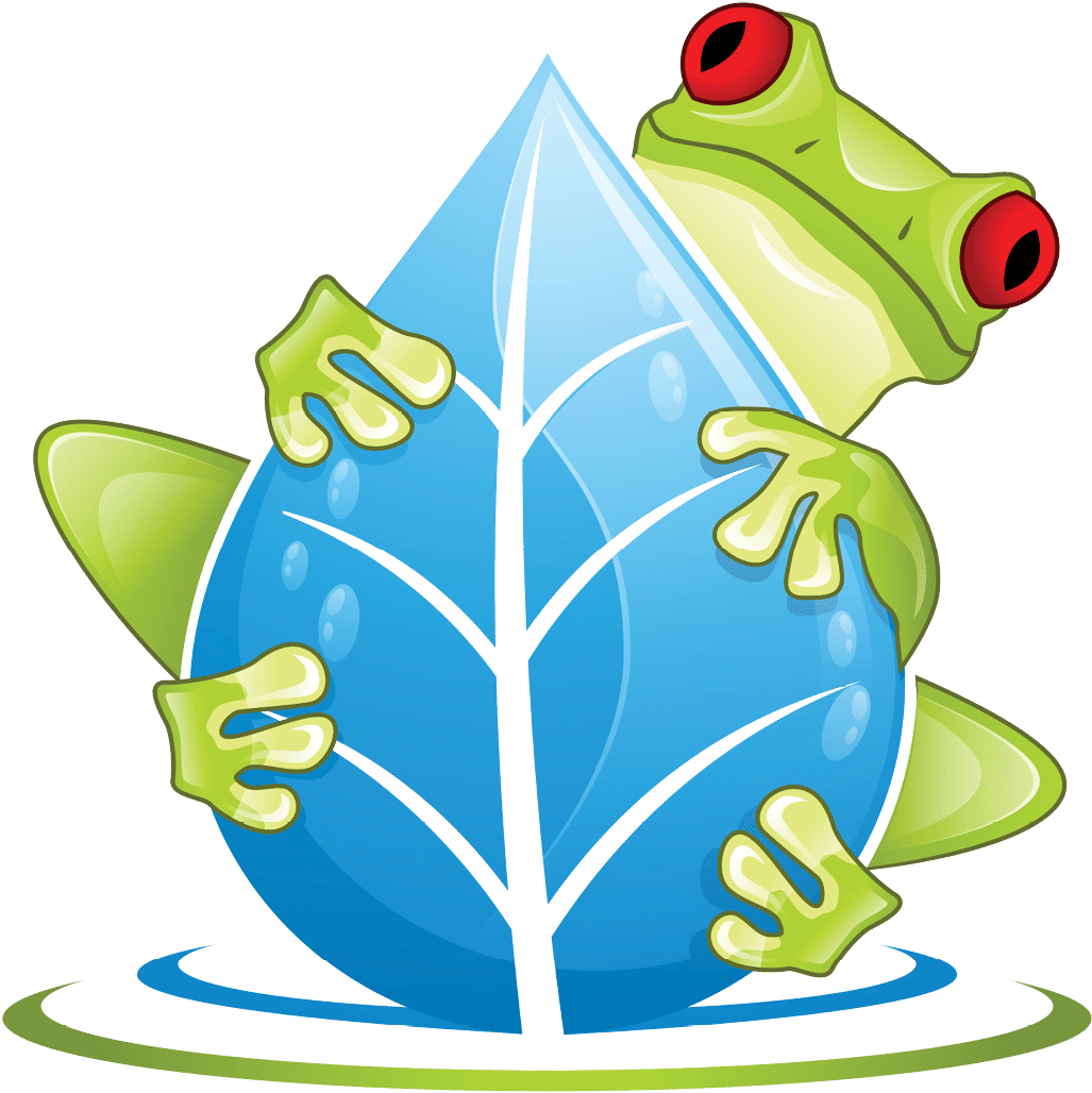 Frog Falling Down Png Clipart (1067x1067), Png Download