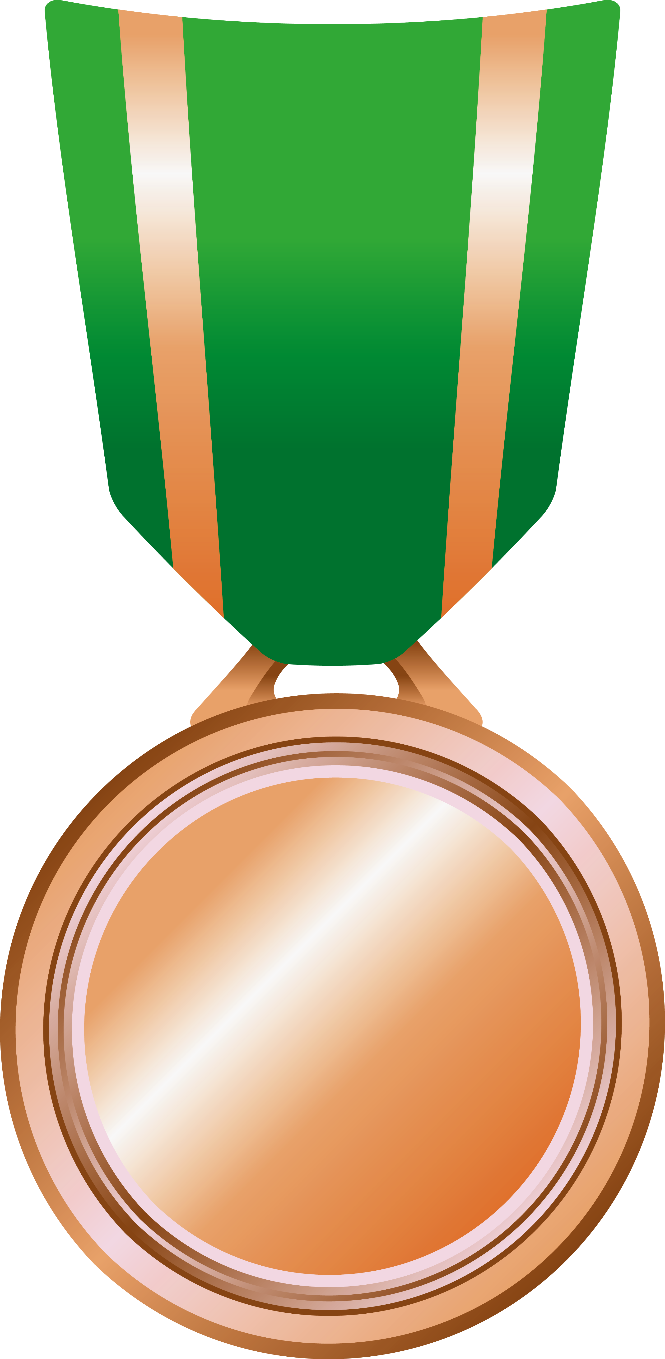 Bronze Level - Trophy Case Clipart (2803x5720), Png Download