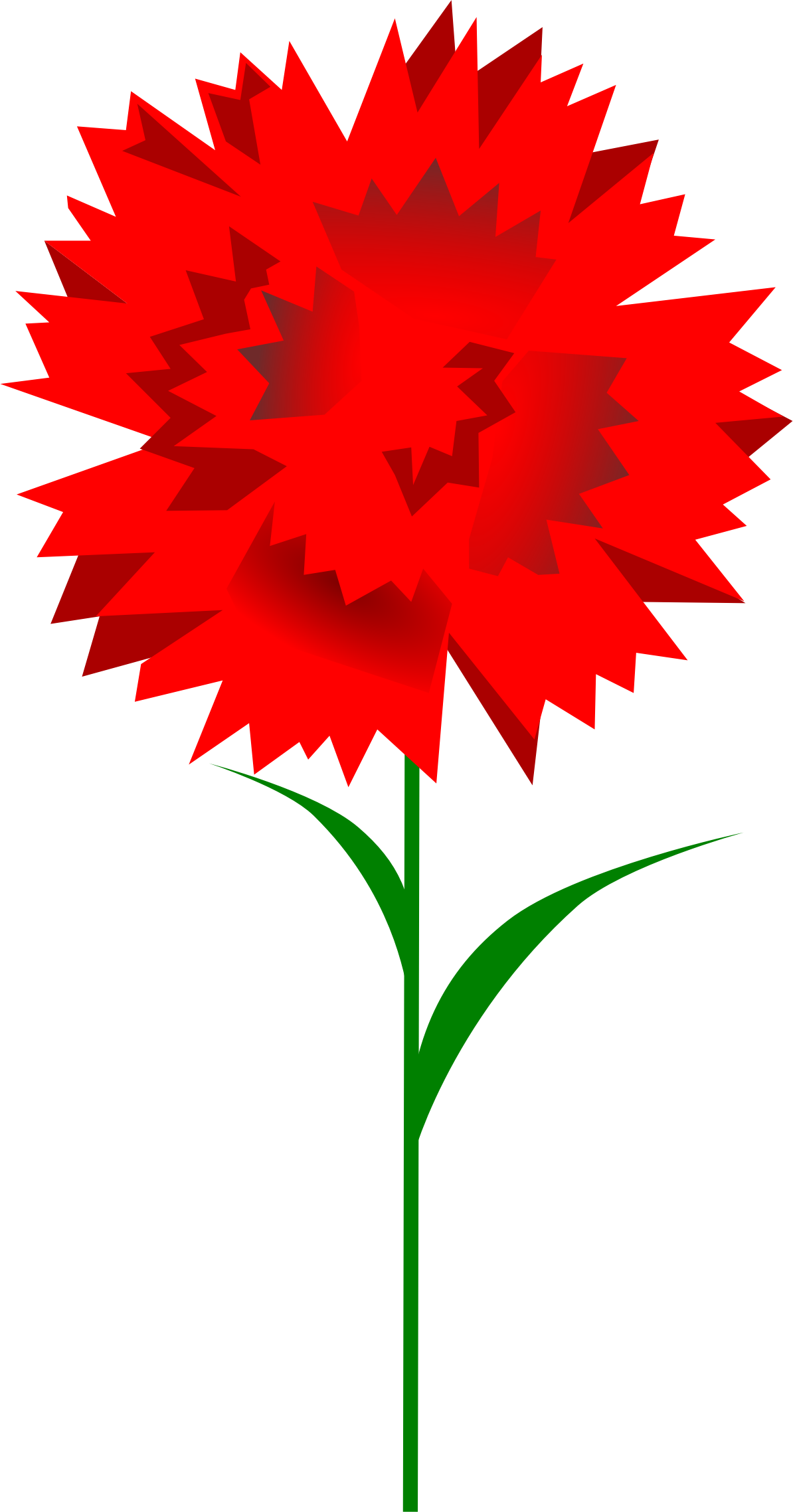 Free Carnation - Cravo Clipart - Png Download (417x800), Png Download