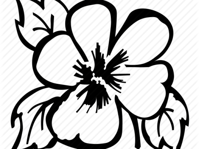 Pansy Clipart Outline - Clip Art - Png Download (640x480), Png Download