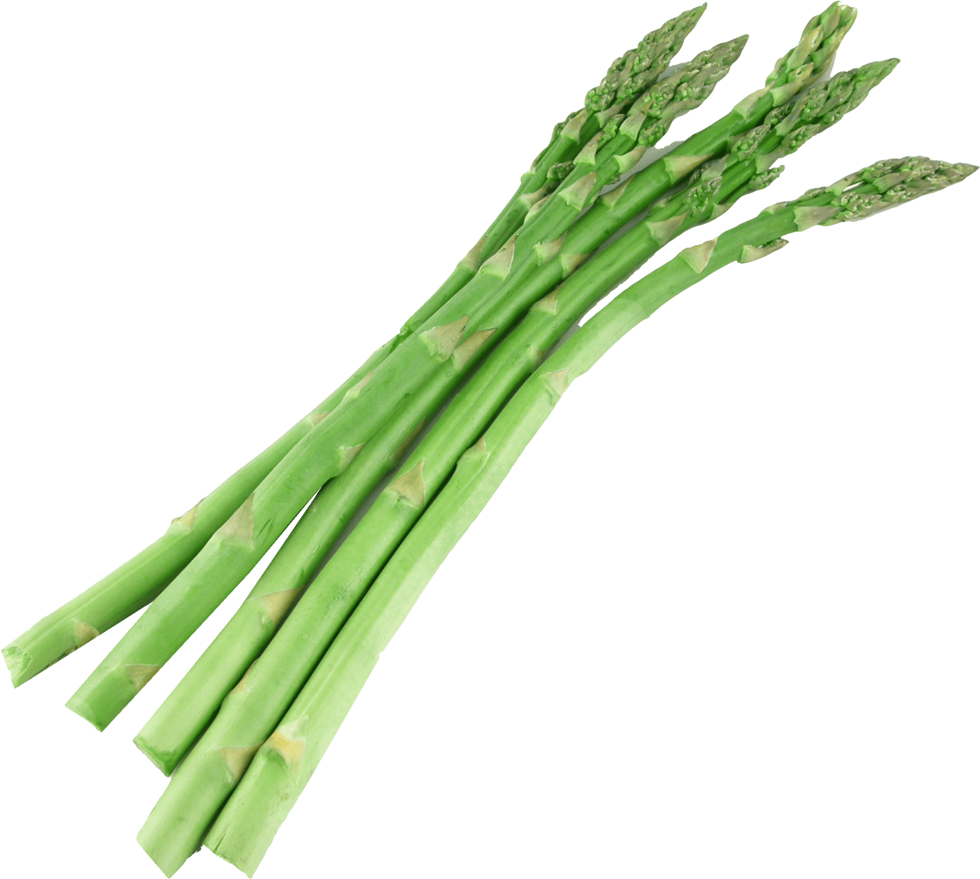 Bunch Of Asparagus - Seasonal Food: A Guide To What's In Season When And Clipart (1557x1368), Png Download