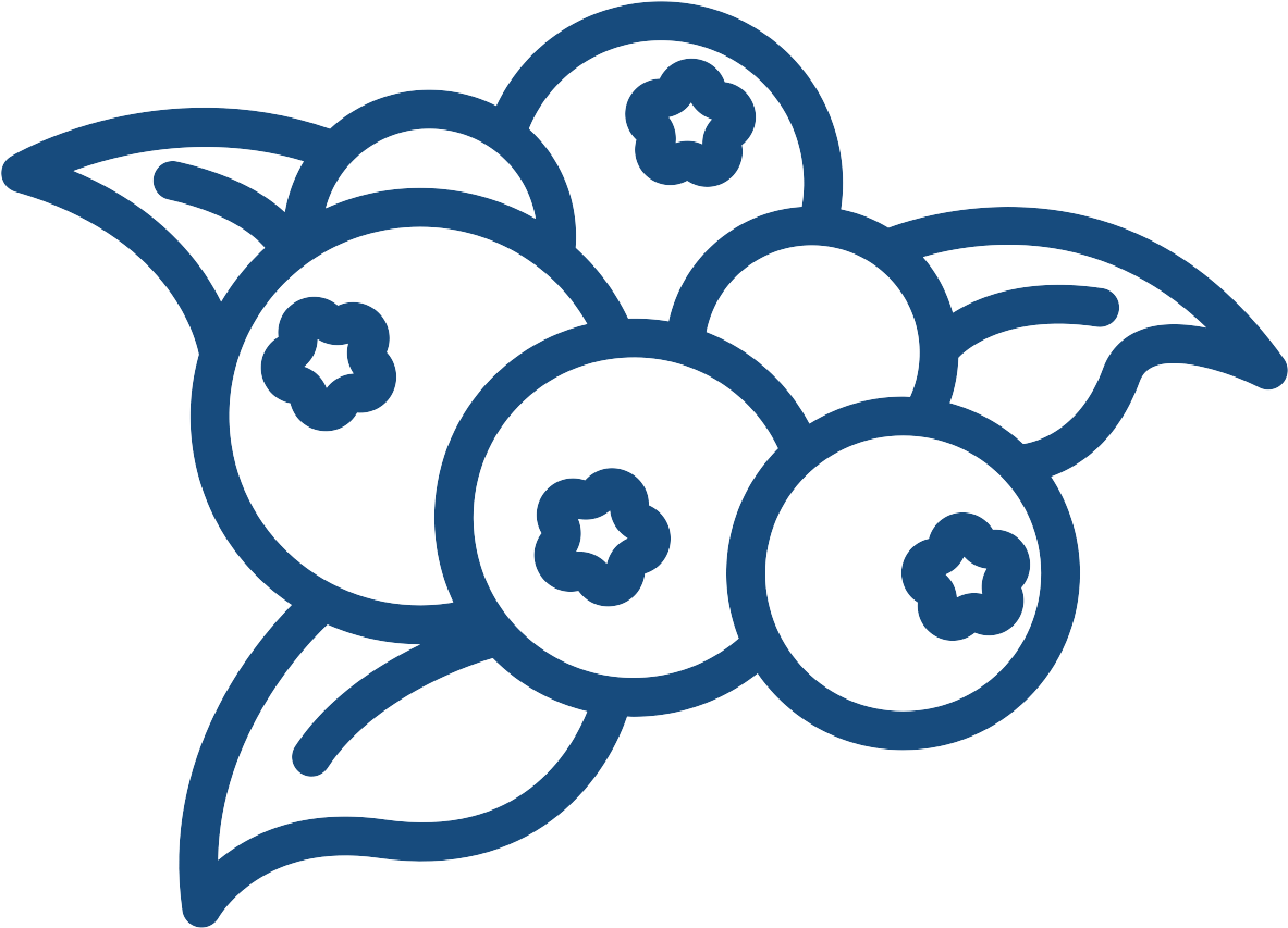 Nutrition Counseling Client - Flyer Clipart (1200x1200), Png Download