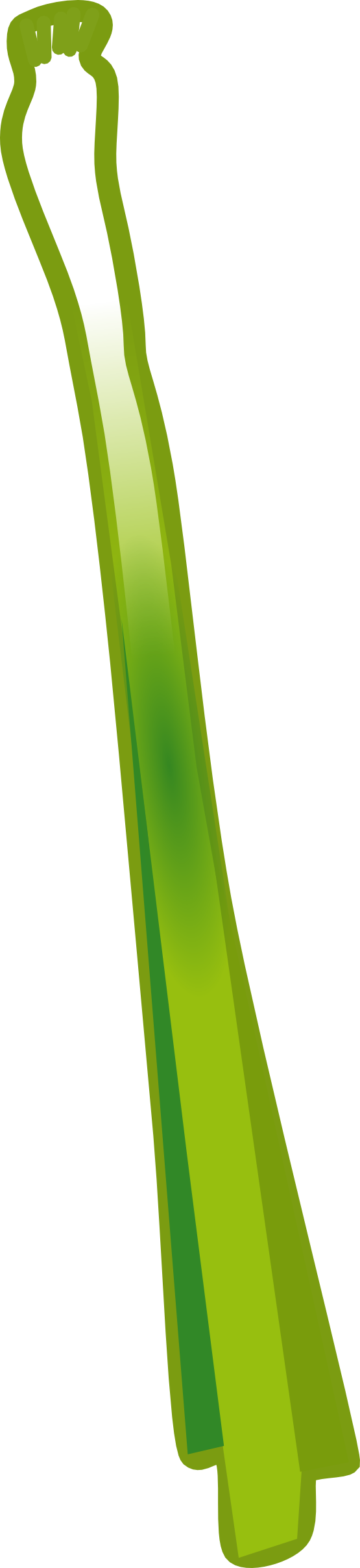 Leek Clipart 1 Leek Clipart 2 - Png Download (555x2415), Png Download