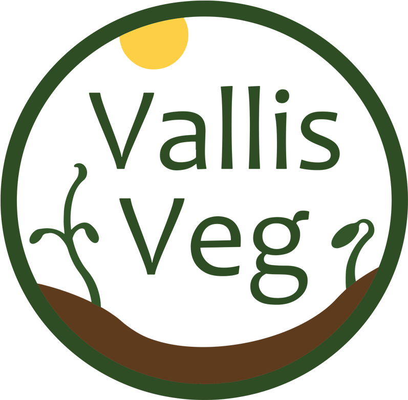 Valis Veg - Circle Clipart (800x800), Png Download