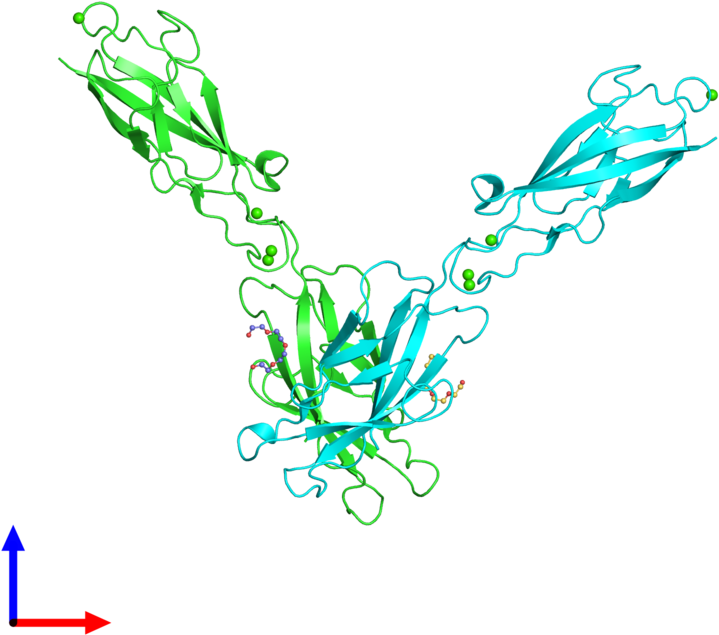 Pdb 3q2n Coloured By Chain And Viewed From The Front Clipart (800x800), Png Download